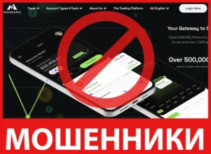 Monnaris лицевая сторона скрин