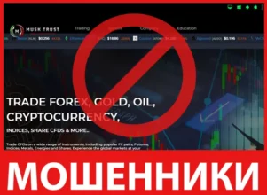 Musk Trust лицевая сторона скрин