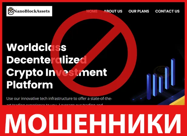 NanoBlockAssets лицевая сторона скрин