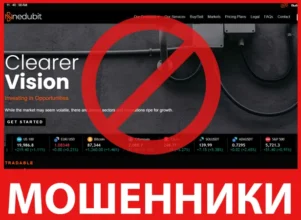 Nedubit лицевая сторона скрин