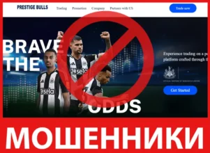 Prestige Bull лицевая сторона скрин