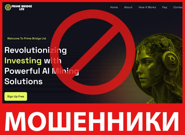 Prime Bridge Ltd лицевая сторона скрин