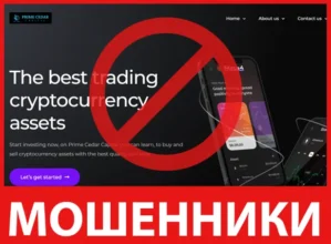 Prime Cedar Capital лицевая сторона скрин