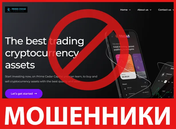 Prime Cedar Capital лицевая сторона скрин