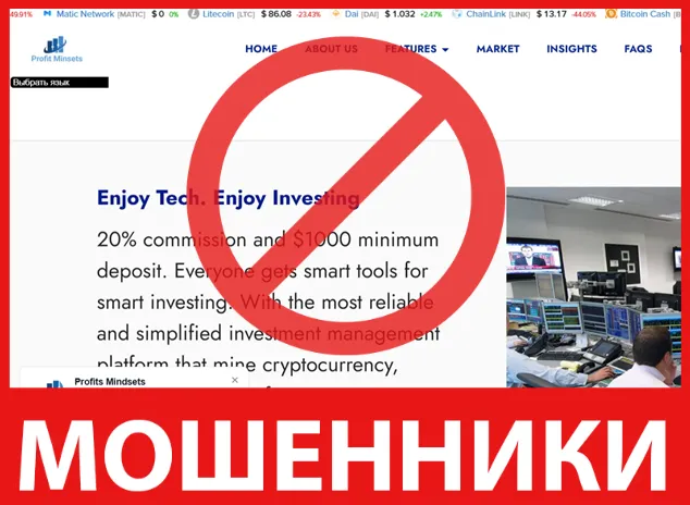 Profit Mindsets лицевая сторона скрин