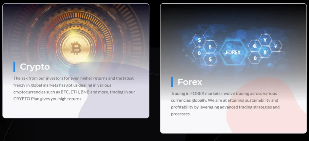 Risevest LTD 1 скрин