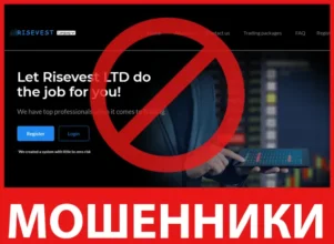Risevest LTD лицевая сторона скрин