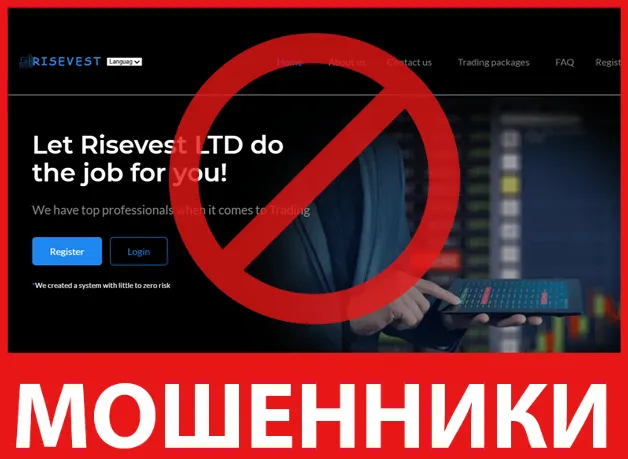 Risevest LTD лицевая сторона скрин