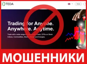 TEDA Global Limited лицевая сторона скрин
