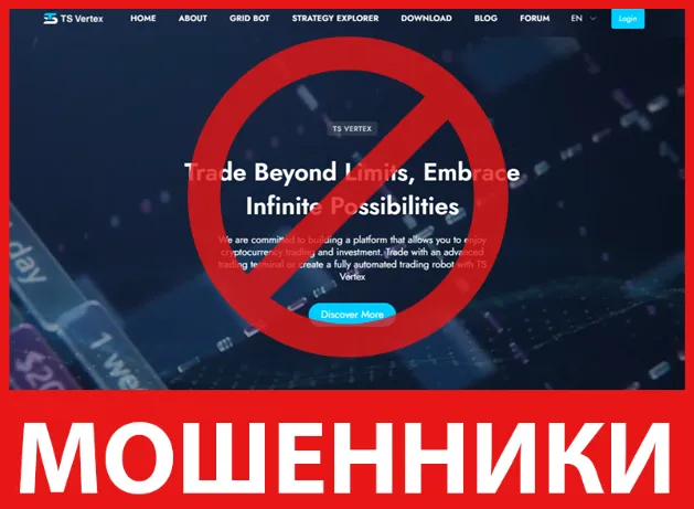 TS Vertex лицевая сторона скрин