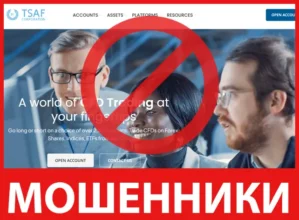 TSAF Corporation лицевая сторона скрин