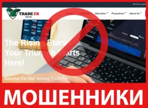 Trade Fx Online лицевая сторона скрин