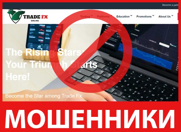 Trade Fx Online лицевая сторона скрин