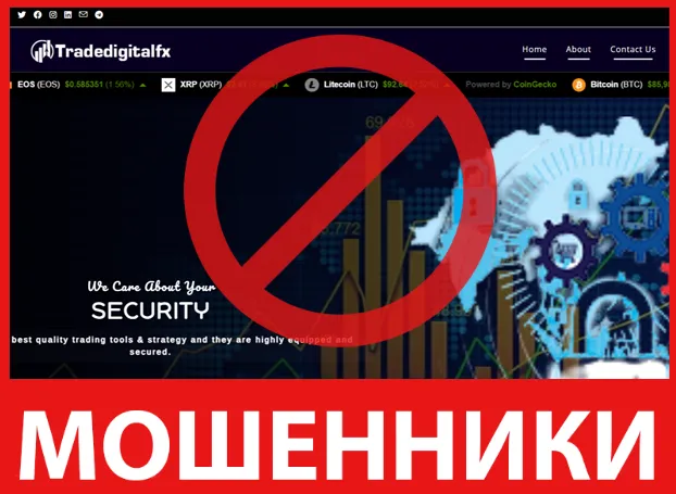 Tradedigitalfx лицевая сторона скрин