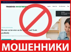 Tradevex Investment лицевая сторона скрин