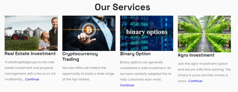 Trustedcapitalgroups 1 скрин
