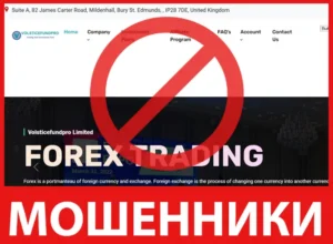 Volsticefundpro лицевая сторона скрин