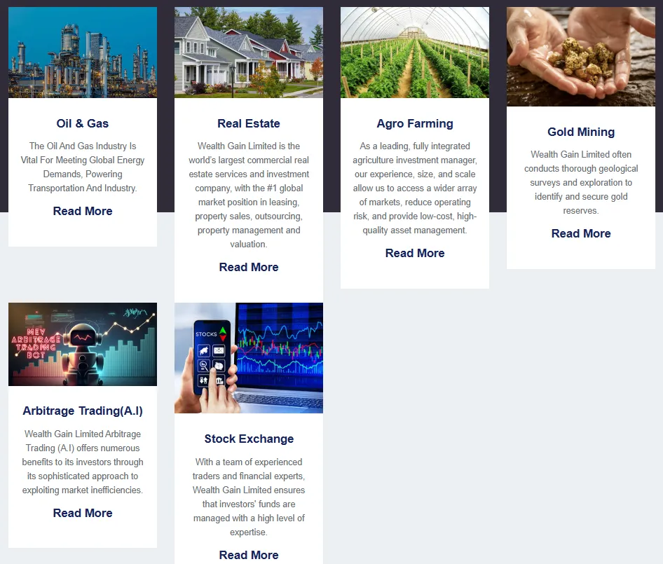 WEATH GAIN LIMITED 1 скрин