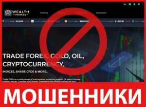 WealthPrimes лицевая сторона скрин