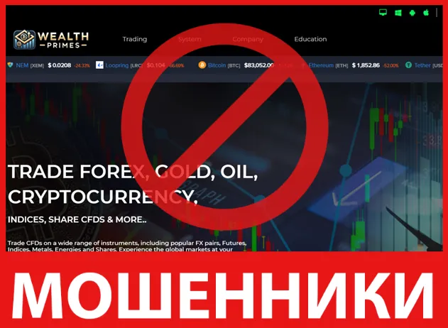 WealthPrimes лицевая сторона скрин