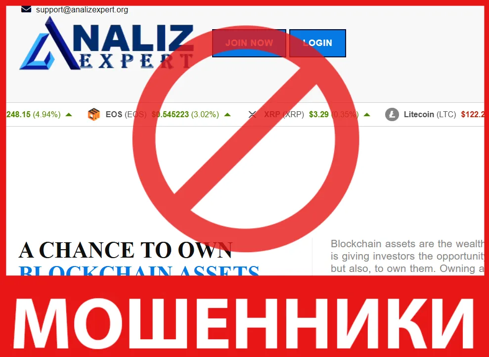 Analizexpert лицевая сторона скрин
