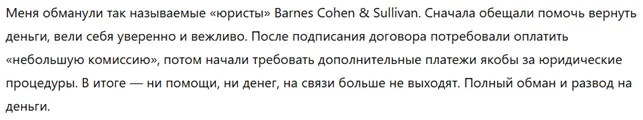 Barnes Cohen & Sullivan 1 скрин