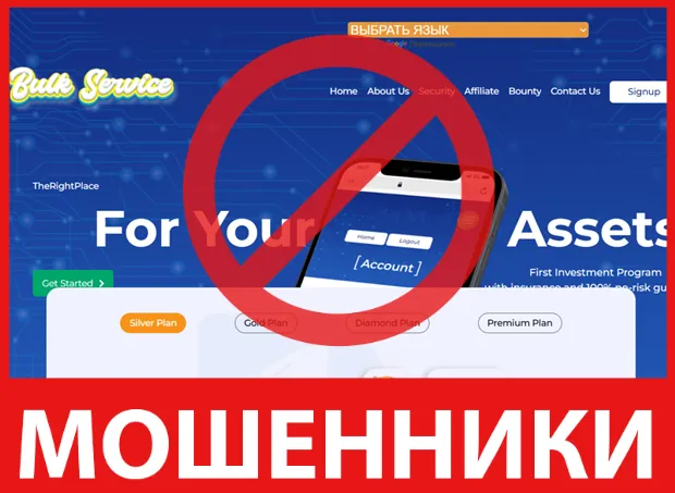 Bulkservice лицевая сторона скрин