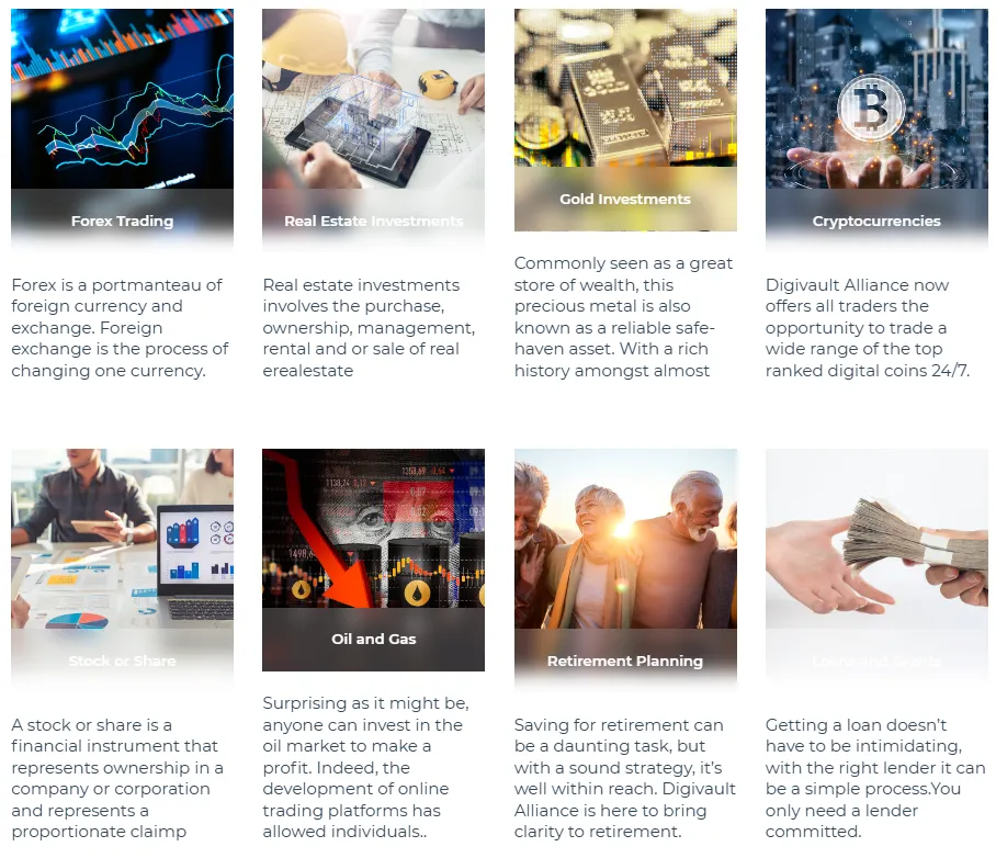 Digivault Alliance 1 скрин