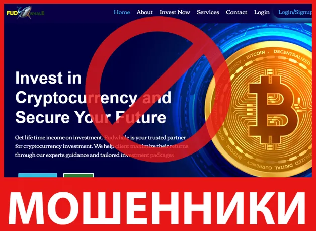 FUDWHALE лицевая сторона скрин