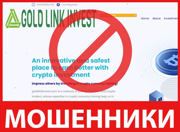 Gold Link Invest лицевая сторона скрин