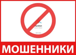 Mycelium лицевая сторона скрин