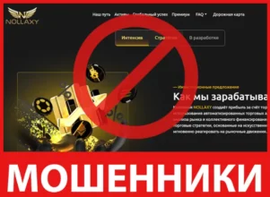 NOLLAXY лицевая сторона скрин