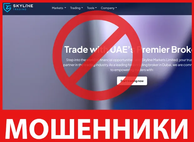 Skyline Trading лицевая сторона скрин