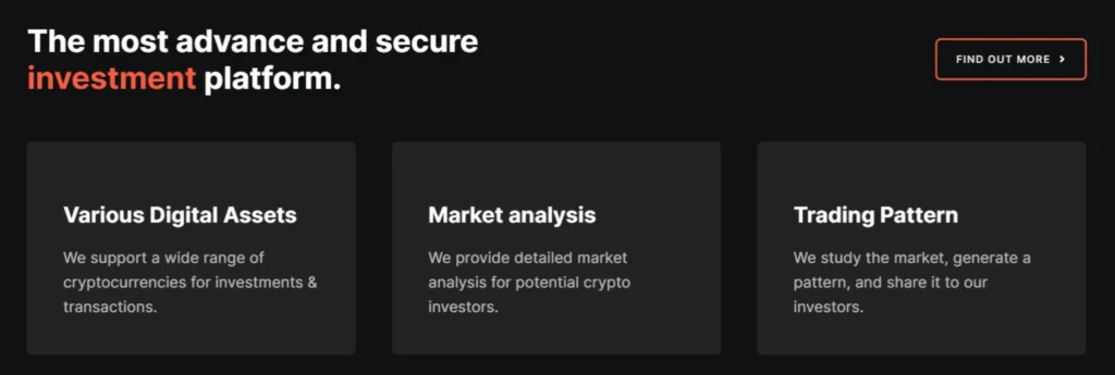 Tesla Investors Corporation 1 скрин