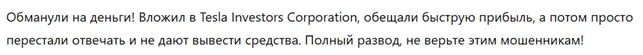 Tesla Investors Corporation 3 скрин
