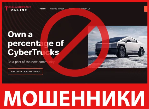 Tesla Investors Corporation лицевая сторона скрин