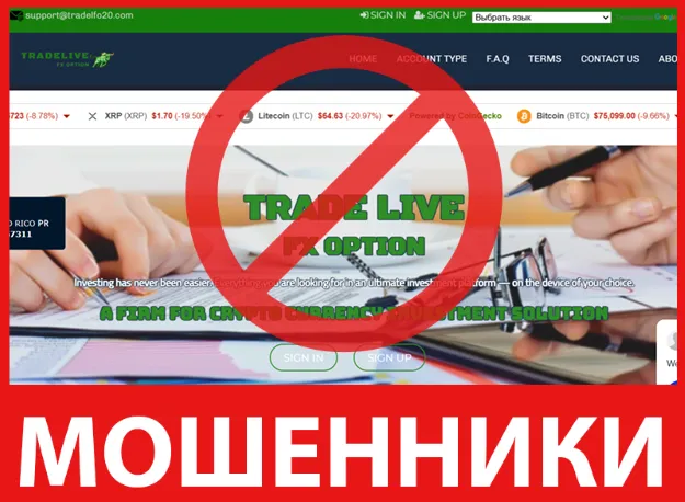 Trade Live FX Option лицевая сторона скрин