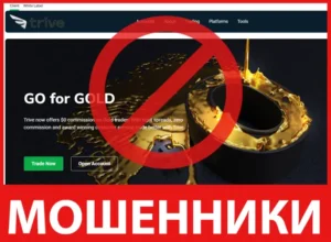 Trivevip лицевая сторона скрин