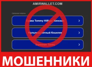 Amir Wallet лицевая сторона скрин