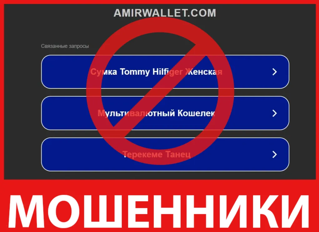 Amir Wallet лицевая сторона скрин
