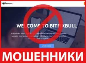 BITFIXBULL лицевая сторона скрин