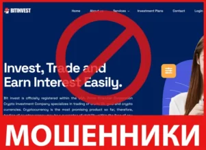 Bitinvest лицевая сторона скрин
