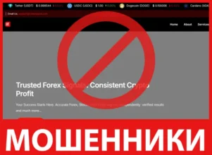 Cibroxspace лицевая сторона скрин