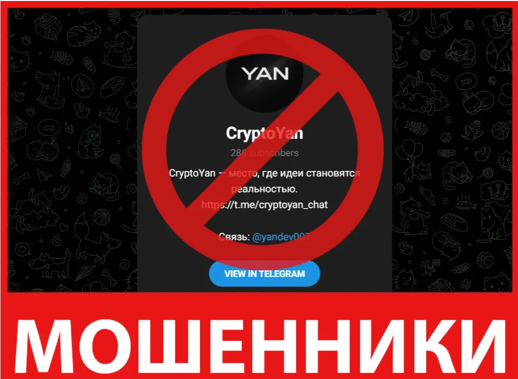 CryptoYan лицевая сторона скрин