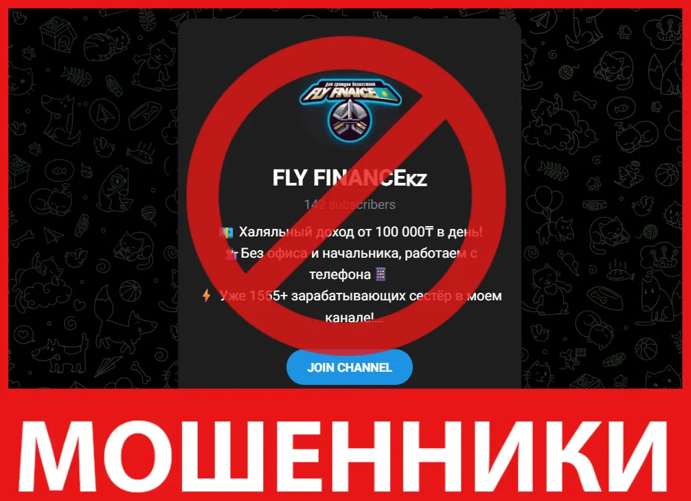 FLY FINANCE лицевая сторона скрин