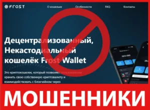 Frost Wallet лицевая сторона скрин