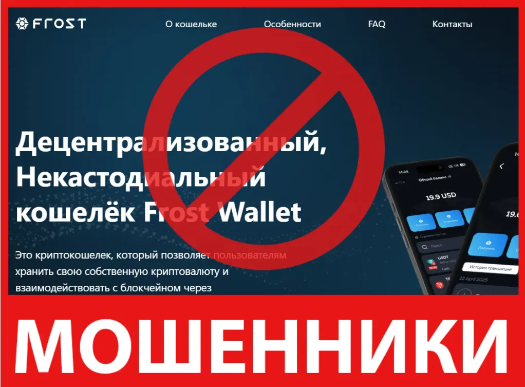 Frost Wallet лицевая сторона скрин