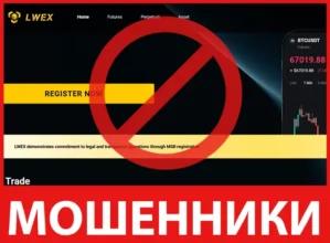 LWEX лицевая сторона скрин