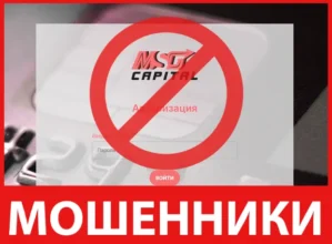 MSG Capital лицевая сторона скрин
