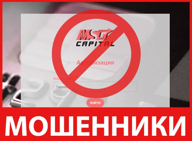 MSG Capital лицевая сторона скрин